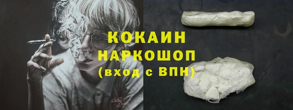 соль ск Белокуриха