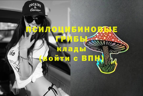 ГАЛЛЮЦИНОГЕННЫЕ ГРИБЫ Гусиноозёрск
