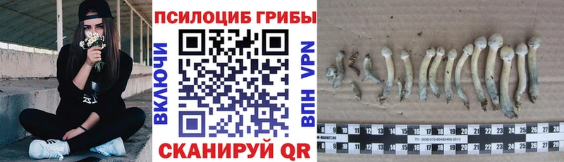 Галлюциногенные грибы GOLDEN TEACHER  сколько стоит  Ершов 